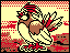 Picture of Pidgeot