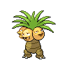 [Picture of Exeggutor]