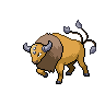 [Picture of Tauros]