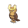 [Picture of Noctowl]