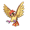 [Picture of Pidgeotto]