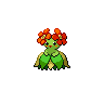 [Picture of Bellossom]