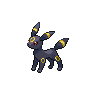 [Picture of Umbreon]