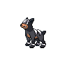 [Picture of Houndour]