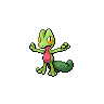 [Picture of Treecko]