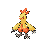 [Picture of Combusken]