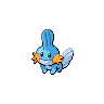 [Picture of Mudkip]