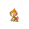 [Picture of Chimchar]