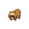 [Picture of Bidoof]