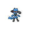 [Picture of Riolu]