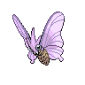 [Picture of Venomoth]