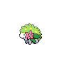 [Picture of Shaymin]