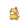 [Picture of Psyduck]