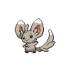 [Picture of Minccino]