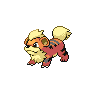 [Picture of Growlithe]