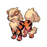 [Picture of Arcanine]