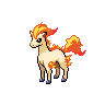 [Picture of Ponyta]