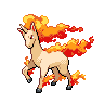 [Picture of Rapidash]