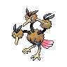 [Picture of Dodrio]