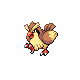 [Picture of Pidgey]