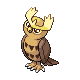 [Picture of Noctowl]