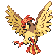 [Picture of Pidgeotto]