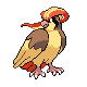 [Picture of Pidgeot]