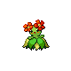 [Picture of Bellossom]