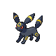 [Picture of Umbreon]