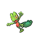 [Picture of Treecko]