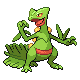 [Picture of Sceptile]