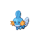 [Picture of Mudkip]