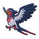 [Picture of Swellow]