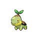 [Picture of Turtwig]