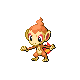 [Picture of Chimchar]