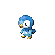 [Picture of Piplup]