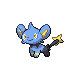 [Picture of Shinx]