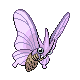 [Picture of Venomoth]