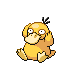 [Picture of Psyduck]