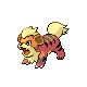 [Picture of Growlithe]