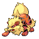 [Picture of Arcanine]