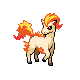 [Picture of Ponyta]