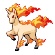 [Picture of Rapidash]