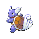 [Picture of Wartortle]