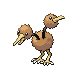 [Picture of Doduo]