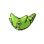 [Picture of Metapod]