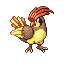 [Picture of Pidgeotto]