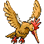 [Picture of Fearow]