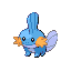 [Picture of Mudkip]