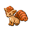 [Picture of Vulpix]